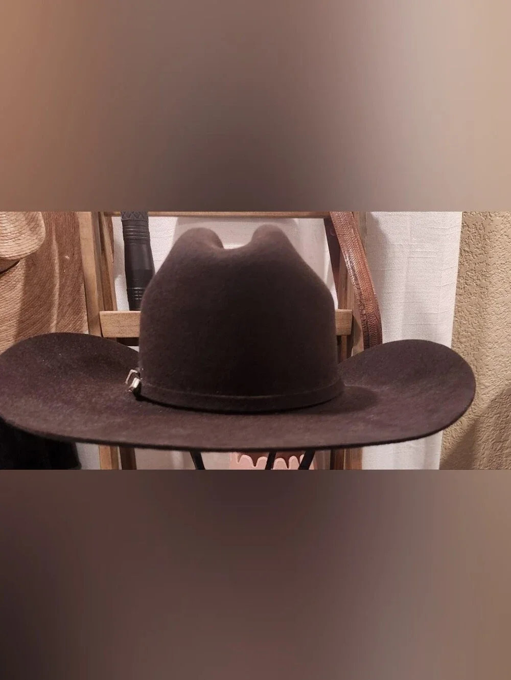 Men's Stallion Stetson XXX Dark Brown Felt Western Hat with Silver Buckle